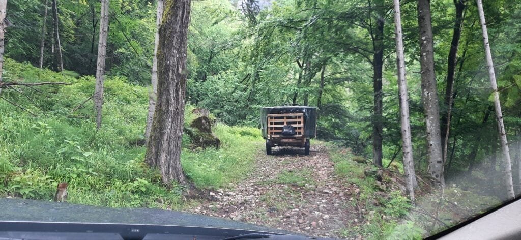 Leverans av en badtunna innan den byggs in i trädäcket